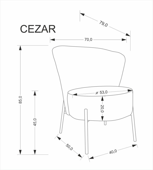 Fotel Cezar Halmar