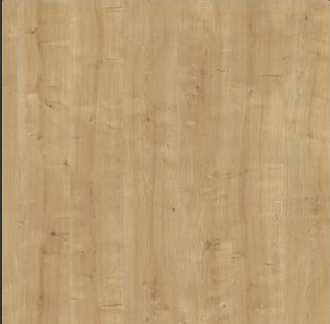 KU Hamilton Oak